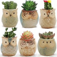 New Cartoon Owl-shaped Flower Pot for Succulents Fleshy Plants Flowerpot Ceramic Small Mini Home/Garden/Office Decoration