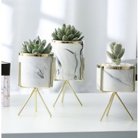 Plastic Bonsai Planters Garden Plants