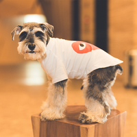 Factory Dog Custom Clothes Dog Clothes Tshirt Dog Clothes Coat