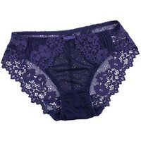 Hollow Out Full Lace Transparent Bikini Briefs