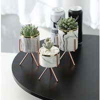 YL0854 Modern style small concrete succulent plant pots