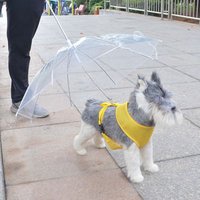 New Foldable Waterproof White transparent Pet clear Plastic Umbrella For Dog,High Quality Pet Dog Umbrella,Outdoor