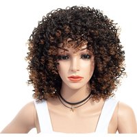 Kinky Afro Curly Wig Mixed Colours Brown Ombre Synthetic Wig Natural Hair for Women Heat Resistant Hairs Wig 47CM