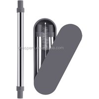 Eco-Friendly Collapsible Stainless Steel Drinking Straw