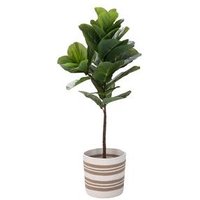 Woven Cotton Rope Storage Plant Basket Organizer Flower Pot Floor Indoor Planters