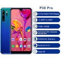 Drop Shipping Popular Design 3G Smartphone 1+16GB Unlocked Cell Phone Android Phone P30 Pro