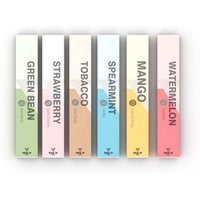 2019 Newest Vape pod the best vapor smoking device 300 puffs disposable vape pen pod