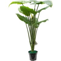 Artificial Plant Pot