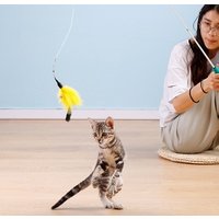 Cat Toy Interactive Feather Wand Retractable Teaser and Exerciser for cat