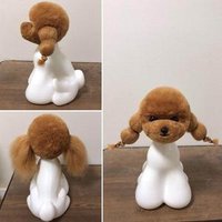 Dog head model with Brown furs ,dog model for grooming practice