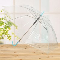 Professional eco-friendly poe bubble clear umbrella,transparent umbrella