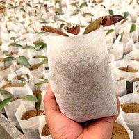 Bezant Biodegradable PP non woven grow bags for plant growing bag nursery and root control