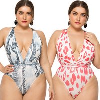 Leopard Print Bikini Swimsuit