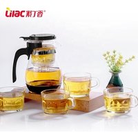 Guangdong Modern teaposy plastic handle glass teapot set