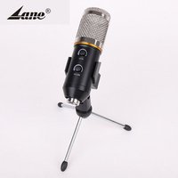 lane Microphone BM-700 Professional Studio Condenser Sound Recording Microphone
