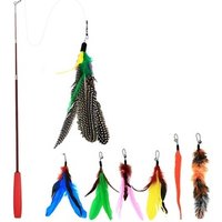Retractable Cat Teaser Wand Toy with 7 Feather & Worm Attachments