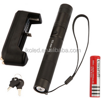 Set of SD 303 Green Laser Pointer with Star Pattern Filter +18650 battery+battery charger+gift box