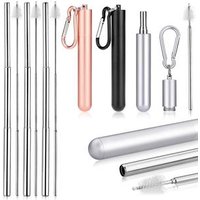 Collapsible Stainless Steel Drinking Straw with Cleaning Brush