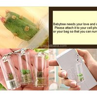 OXGIFT China Supplier Wholesale Manufacturing Factory Prices Amazon MINI cactus Plants Baby tree Mobile phone accessories