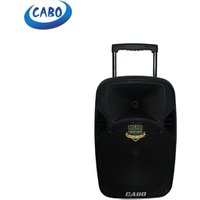 CABO wireless 8 inch portable trolley speaker