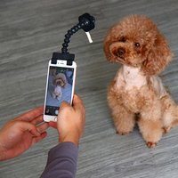 Pet Selfie Stick for Pets Dog Cat fit iPhone Samsung and Most Smartphone Tablet Black/WhitePet toy Drop Shipping