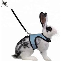 Soft and breathable rabbit bunny harness in high quality with matching leash