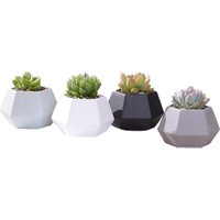 Small Hexagon Matte Porcelain Indoor Decorative Pot