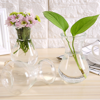 Hyacinth Vase With Color Home Modern Glass Flower Vase Fashion Decor Glass Jar