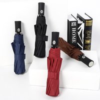 Automatic Windproof 10 Rib Folding Umbrella