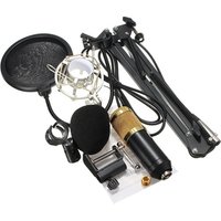 Wholesales Professional Condenser Sound Recording BM-800 Microphone with Shock Mount BM-800 for Radio Braodcasting Singing