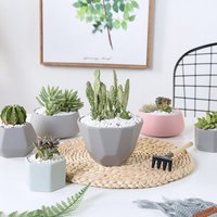 Living Room Succulent Cactus Small Ceramic Flower Plant Pots and Planters for Plant