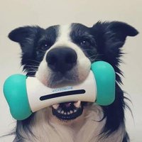 Interactive Plush Dog Chew Bone Toy Pets