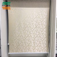 Blackout Roller Blinds Windows