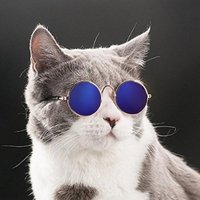Cute Funny Pet Sunglasses Classic Retro Circular Glasses Metal Prince Doggie Sunglasses Cats Small Dogs Fashion Puppy Sunglasses