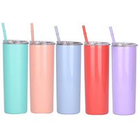 Double Walled Insulated Skinny Tumbler Straw