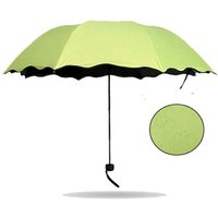 Changing Magic Umbrella Rainy Days