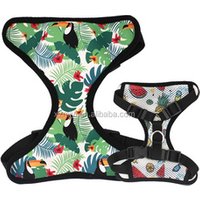 Quick-Drying Reversible Neoprene Dog Swimming Vest Harness