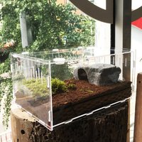 Acrylic Pet Reptile Box