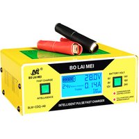 Portable universal lead acid automatically starts battery charger.