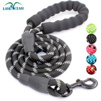 1.5 Metre Dog Leash Waste Bag Dispenser