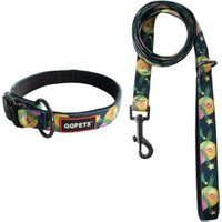 Colourful Double Layer Patterned Dog Collar and Leash