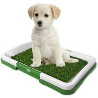 New Splashproof tablet pet toilet indoor dog potty dog toilet with lawn