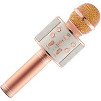 Wholesale WS 858 Wireless microphone karaoke Blue tooth Handheld ws858 Mic China Manufacturer