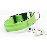 Colourful USB Rechargeable Flashing LED Dog Collar