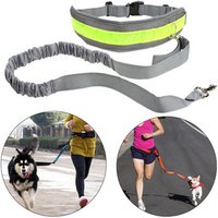 Lovoyager Running dog Bungee leash hands free jogging collar with adjustable waist belt