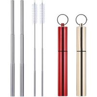 Portable Collapsible Stainless Steel Reusable Drinking Straw Case