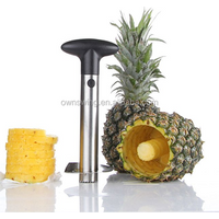 Pineapple Corer Slicer Machine