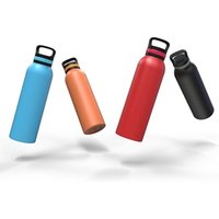 Double Wall Leak Proof Stainless Steel Insulated Water Bottle