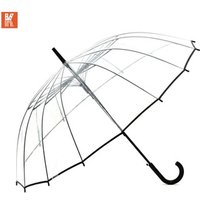 Transparent Straight Umbrella