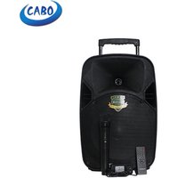 CABO wireless 8 inch professional trolley speaker